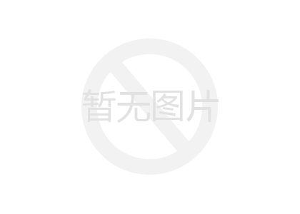 黑絲網(wǎng)片